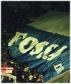 fossadeileoni